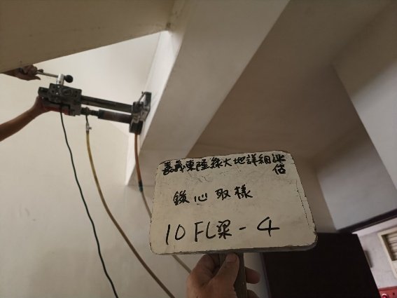 嘉義東隆綠大地耐震能力詳細評估案